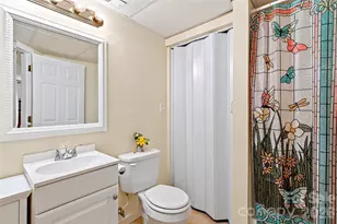 386 Wild Turkey Run, Black Mountain, NC 28711 - Photo 37