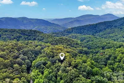 386 Wild Turkey Run, Black Mountain, NC 28711 - Photo 47