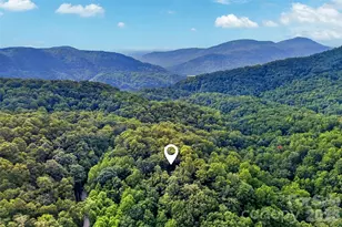 386 Wild Turkey Run, Black Mountain, NC 28711 - Photo 47