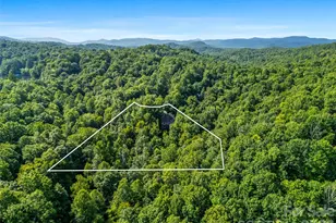 123 Isuhdavga Ct, Brevard, NC 28712 - Photo 41