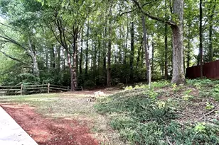 1725 Van Dyke Dr, Charlotte, NC 28213 - Photo 5