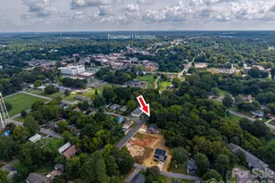 301 Congress Street W, Lincolnton, NC 28092 - Photo 27