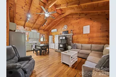 367 Robinson Road, Clyde, NC 28721 - Photo 3