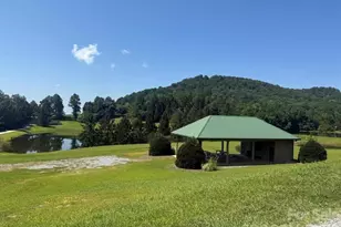 977 Morning Ride Dr, Columbus, NC 28722 - Photo 41