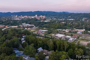 158 Riverview Dr, Asheville, NC 28806 - Photo 43