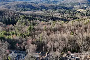 Lot 2 Tomahawk Trail, Hendersonville, NC 28739 - Photo 3