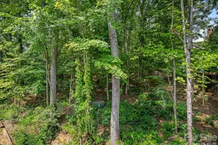 6504 Racquet Wood Ct, Charlotte, NC 28226 - Photo 25
