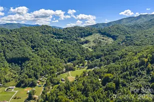60 Spring Mountain Dr, Canton, NC 28716 - Photo 31