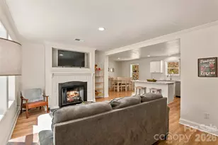 60 Spring Mountain Dr, Canton, NC 28716 - Photo 9