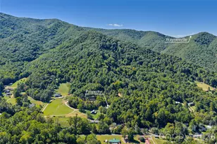 60 Spring Mountain Dr, Canton, NC 28716 - Photo 35