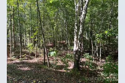 0 Nablus Drive #5, Waxhaw, NC 28173 - Photo 21