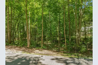 0 Nablus Drive #5, Waxhaw, NC 28173 - Photo 3
