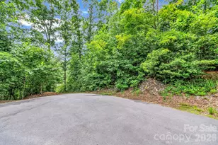 30 Pinners Cove Rd, Asheville, NC 28803 - Photo 3