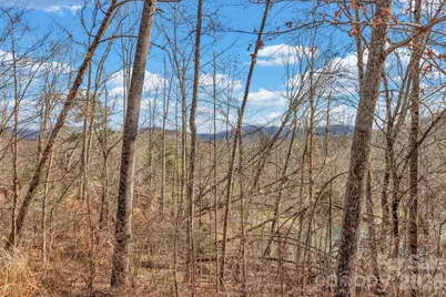 30 Pinners Cove Road, Asheville, NC 28803 - Photo 11