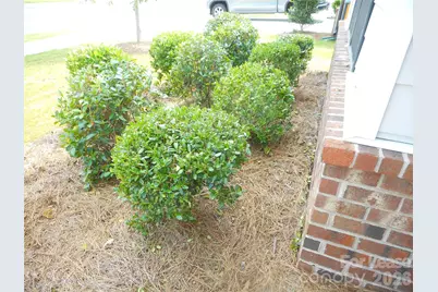 1429 Augustus Beamon Drive, Indian Trail, NC 28079 - Photo 23