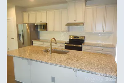 1429 Augustus Beamon Drive, Indian Trail, NC 28079 - Photo 3