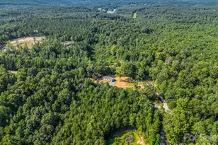 339 Bobby McKinney Rd, Union Mills, NC 28167 - Photo 35