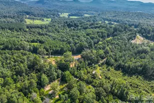 339 Bobby McKinney Rd, Union Mills, NC 28167 - Photo 43