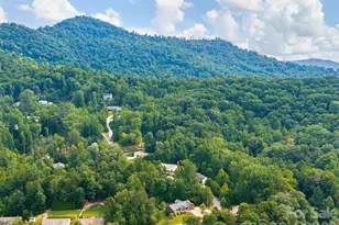 64 Luther Cove Rd, Candler, NC 28715 - Photo 29