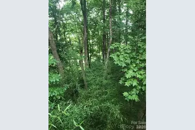 57 Sleepy Gap Road, Arden, NC 28704 - Photo 15
