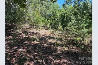 6197 Fox Gap Street, Morganton, NC 28655 - Photo 21