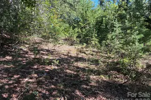 6197 Fox Gap St, Morganton, NC 28655 - Photo 21