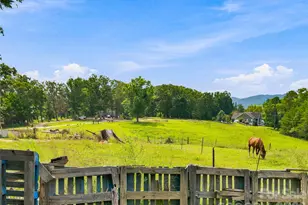 41 Forest Knoll Dr, Weaverville, NC 28787 - Photo 31
