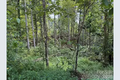 256 Burge Mountain Road, Hendersonville, NC 28792 - Photo 5