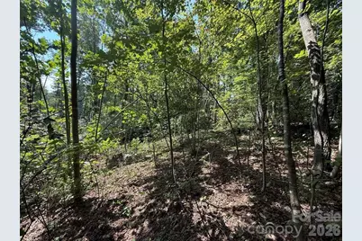 256 Burge Mountain Road, Hendersonville, NC 28792 - Photo 3