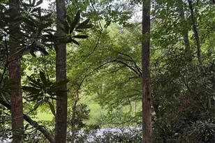 000 Wilson Rd, Pisgah Forest, NC 28768 - Photo 1