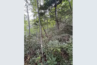 000 Wilson Road, Pisgah Forest, NC 28768 - Photo 27