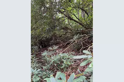 000 Wilson Road, Pisgah Forest, NC 28768 - Photo 5