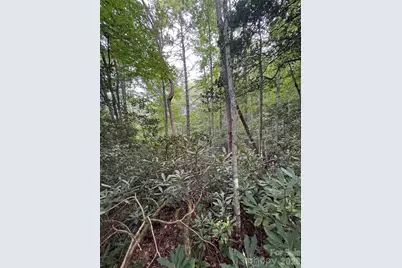 000 Wilson Road, Pisgah Forest, NC 28768 - Photo 29