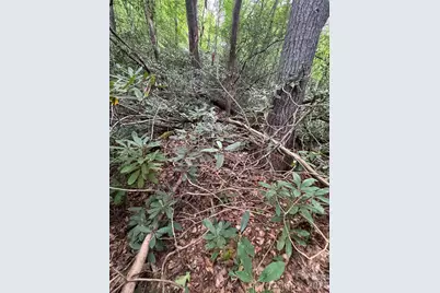 000 Wilson Road, Pisgah Forest, NC 28768 - Photo 31
