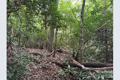 000 Wilson Road, Pisgah Forest, NC 28768 - Photo 35