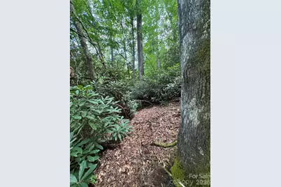000 Wilson Road, Pisgah Forest, NC 28768 - Photo 7