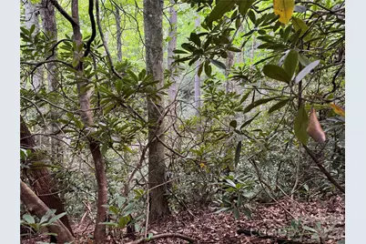 000 Wilson Road, Pisgah Forest, NC 28768 - Photo 21