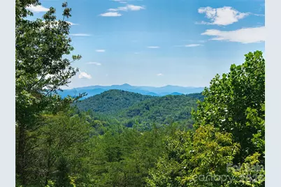 225 Long Branch Road, Swannanoa, NC 28778 - Photo 33