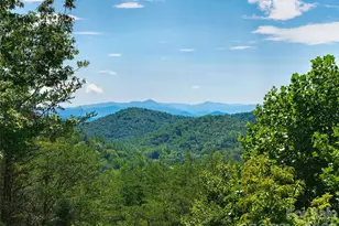 225 Long Branch Rd, Swannanoa, NC 28778 - Photo 33