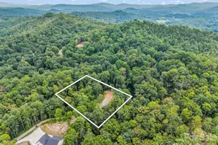 175 Silver Bullet Wy, Pisgah Forest, NC 28768 - Photo 1