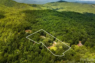 144 Laurel Creek, Cedar Mountain, NC 28718 - Photo 5