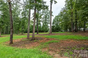 346 Tricycle Hill Ln, Tryon, NC 28782 - Photo 33