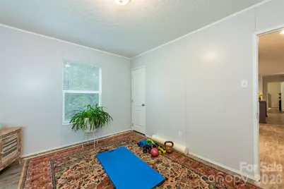 346 Tricycle Hill Lane, Tryon, NC 28782 - Photo 17