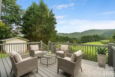 308 Browntown Road, Leicester, NC 28748 - Photo 3