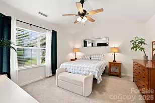 229 Primrose Walk, Fort Mill, SC 29715 - Photo 37