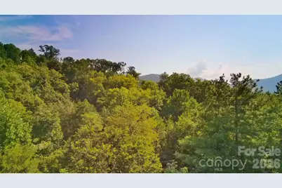99999 Elk Mountain Ridge #12, Asheville, NC 28804 - Photo 5