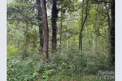 99999 Elk Mountain Ridge #12, Asheville, NC 28804 - Photo 15