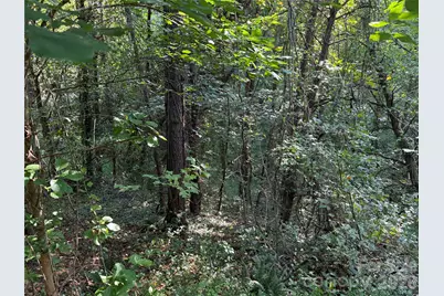 99999 Elk Mountain Ridge #12, Asheville, NC 28804 - Photo 11