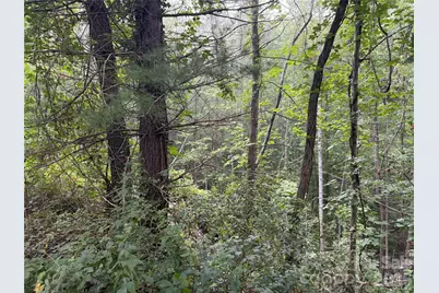 99999 Elk Mountain Ridge #13, Asheville, NC 28804 - Photo 23
