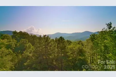 99999 Elk Mountain Ridge #13, Asheville, NC 28804 - Photo 9